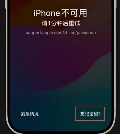 漯河苹果手机密码维修分享iPhone忘记了刚设置的密码 