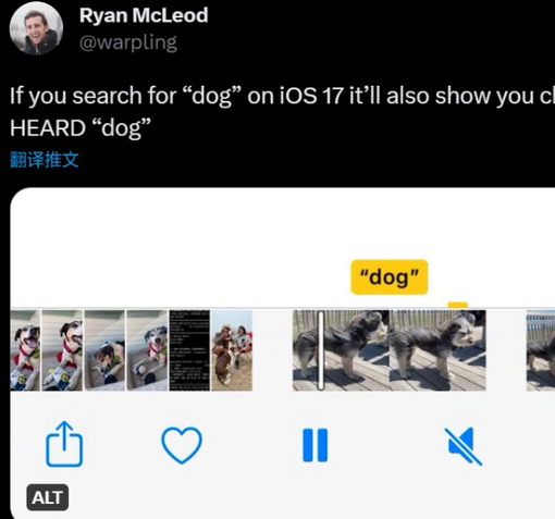 漯河apple维修店分享通过关键字搜索iPhone视频内声音 